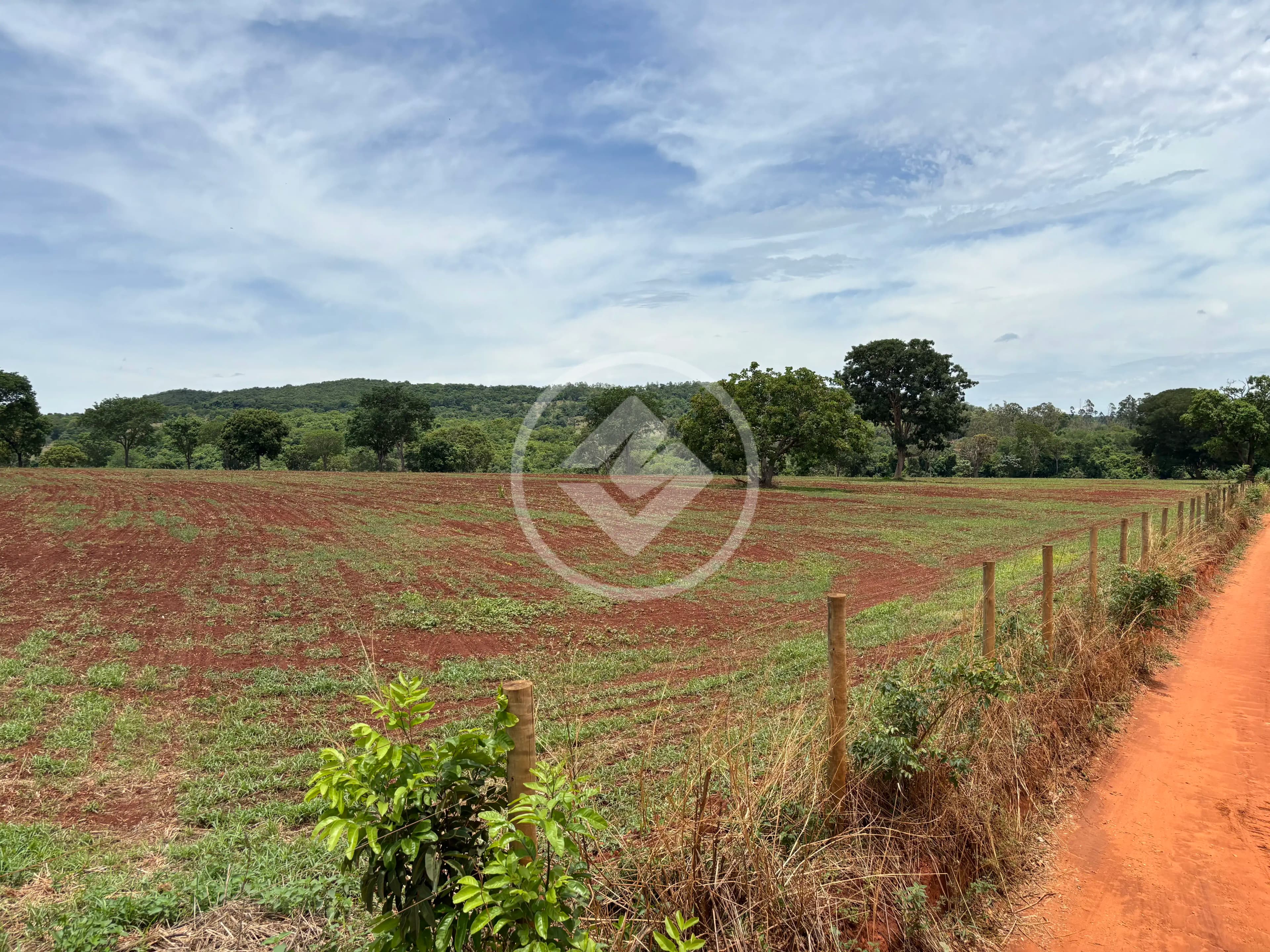 Terreno Jardim das Oliveiras, Senador Canedo - GO — foto 2