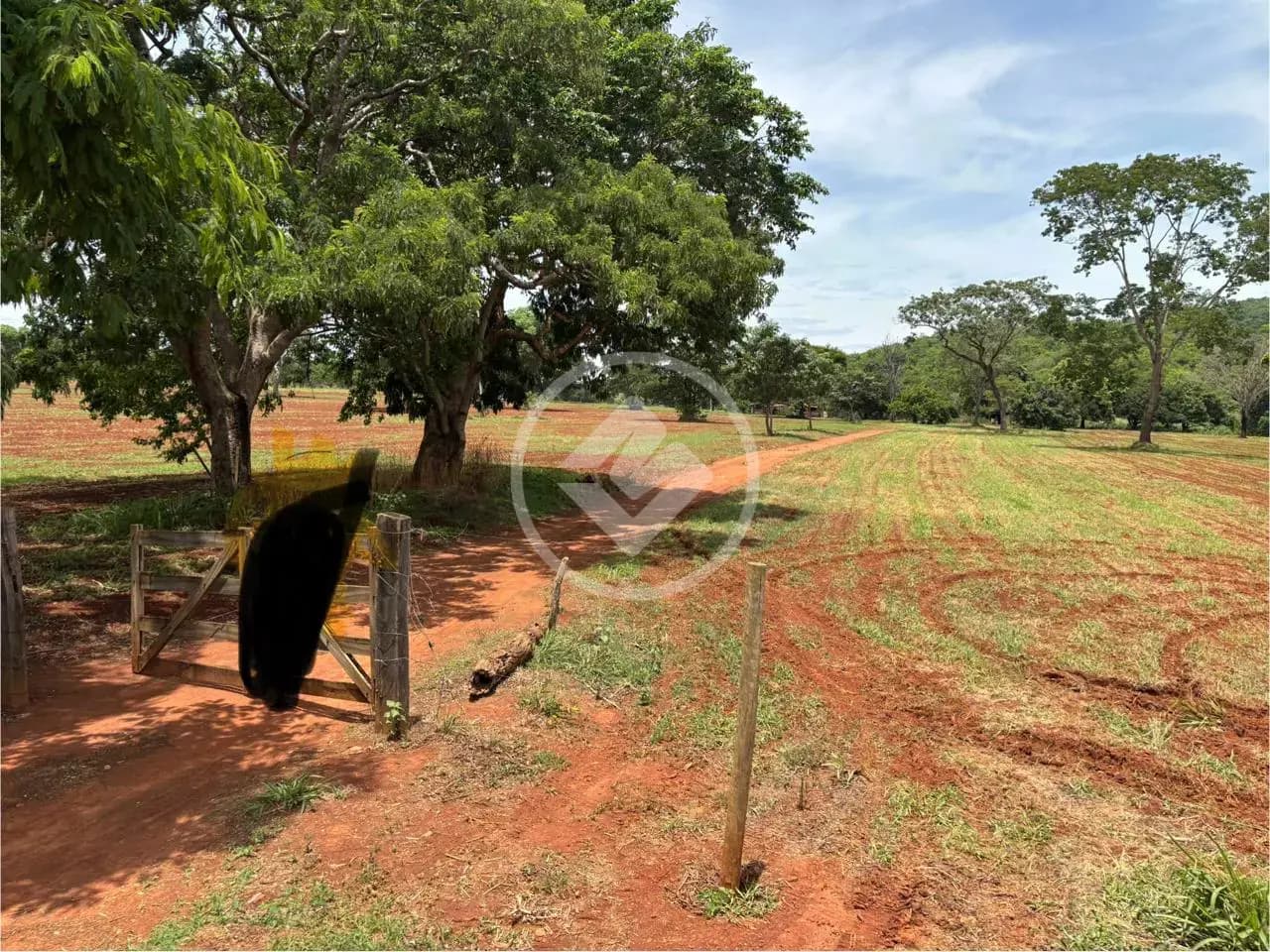 Terreno Jardim das Oliveiras, Senador Canedo - GO — foto 1