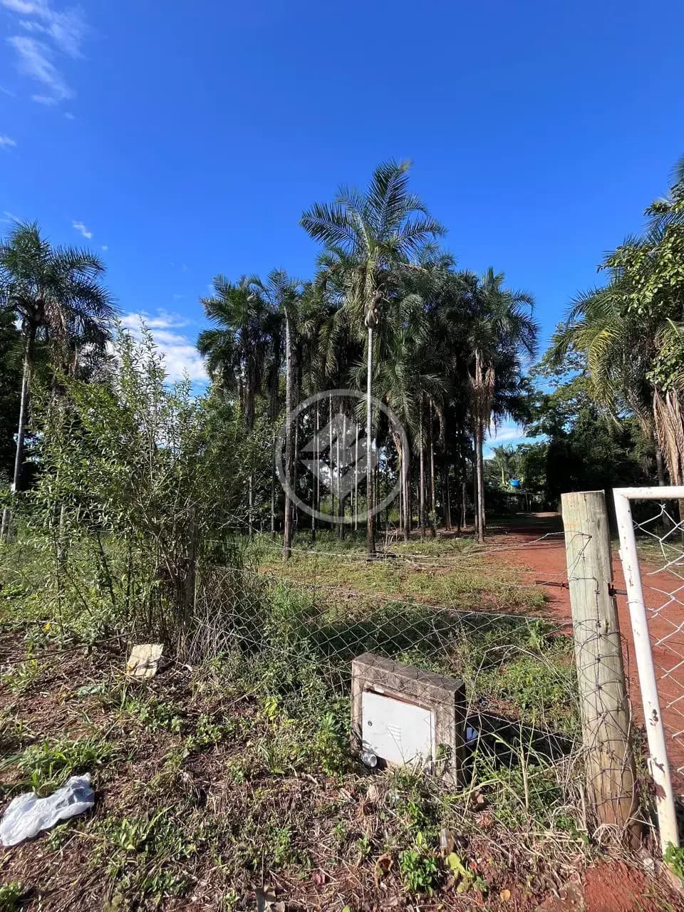 Terreno no Parque Eldorado Oeste, Goiânia — foto 4 de 4