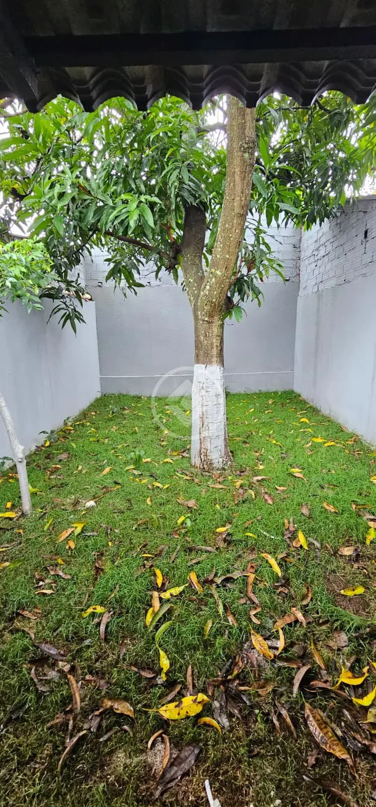 Casa 2 quartos no Jardim São José, Goiânia — foto 5 de 5