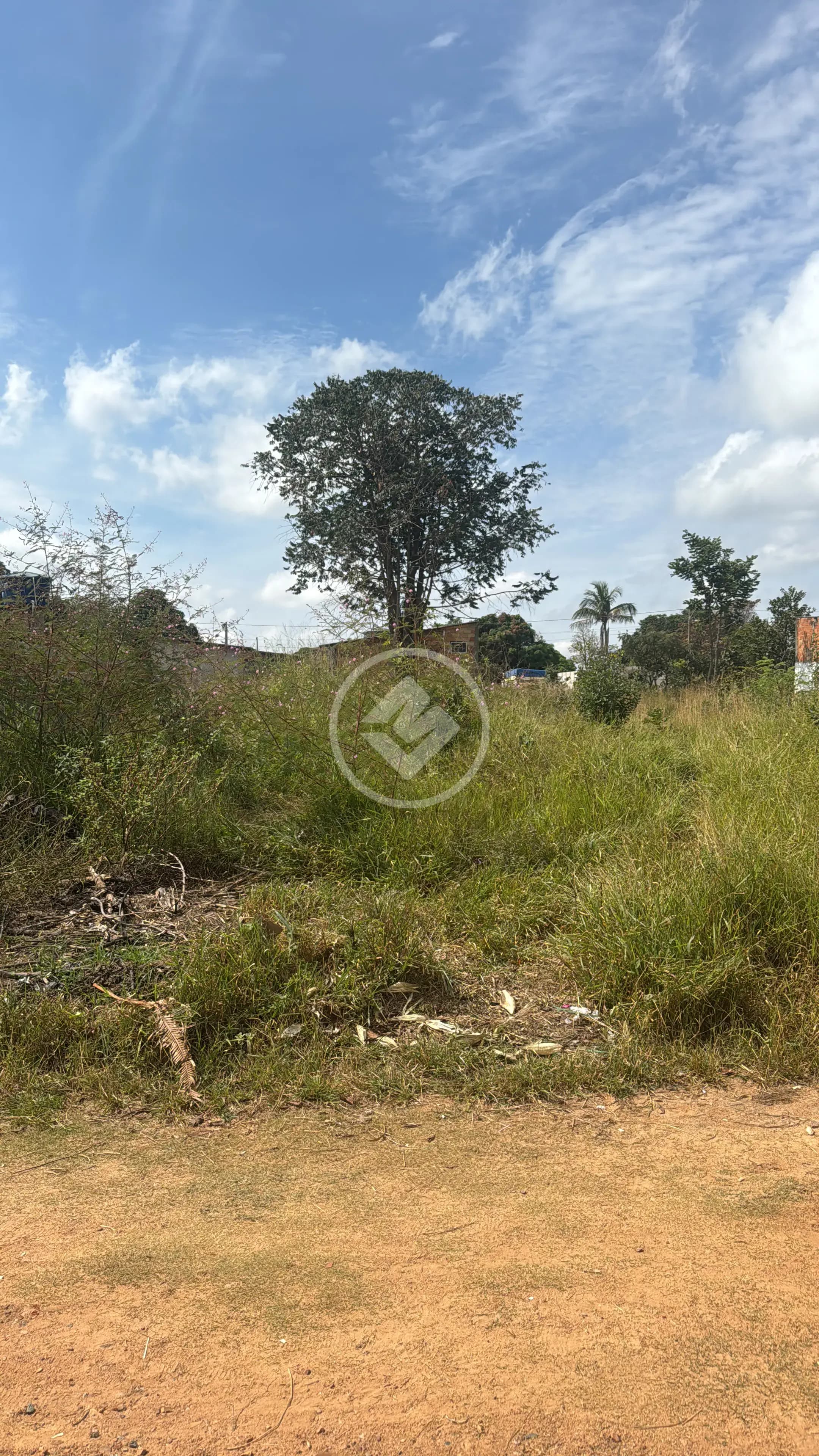 Terreno Jardim Ipê, Goiânia - GO — foto 2