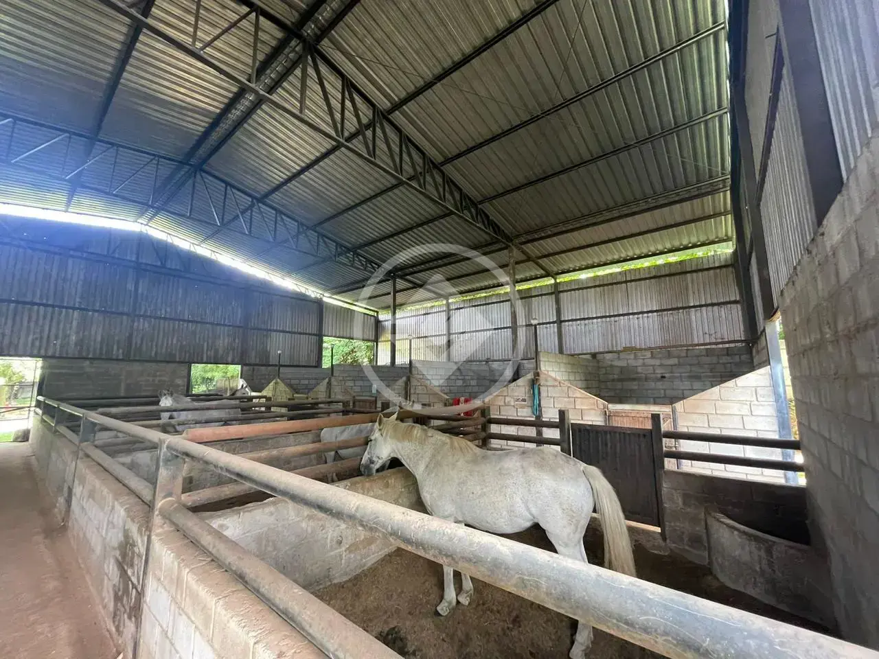 Chácara no Setor Garavelo, Aparecida de Goiânia — foto 5 de 6