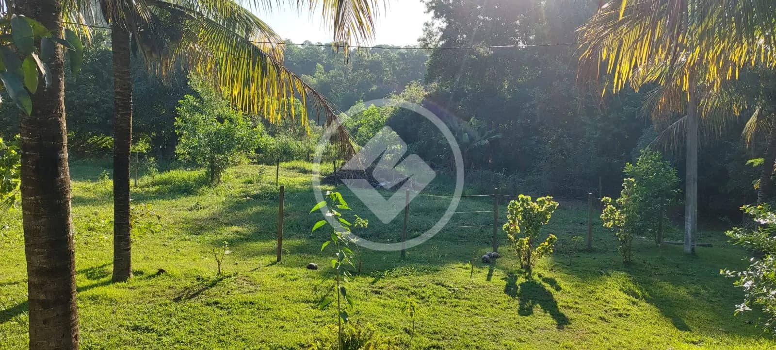 Sítio 3 quartos no Comunidade Urbana de Iguape, Guarapari — foto 4 de 6