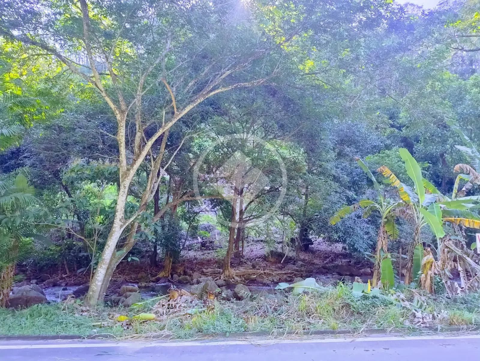 Sítio Comunidade Urbana de Jaboti, Guarapari - ES — foto 2