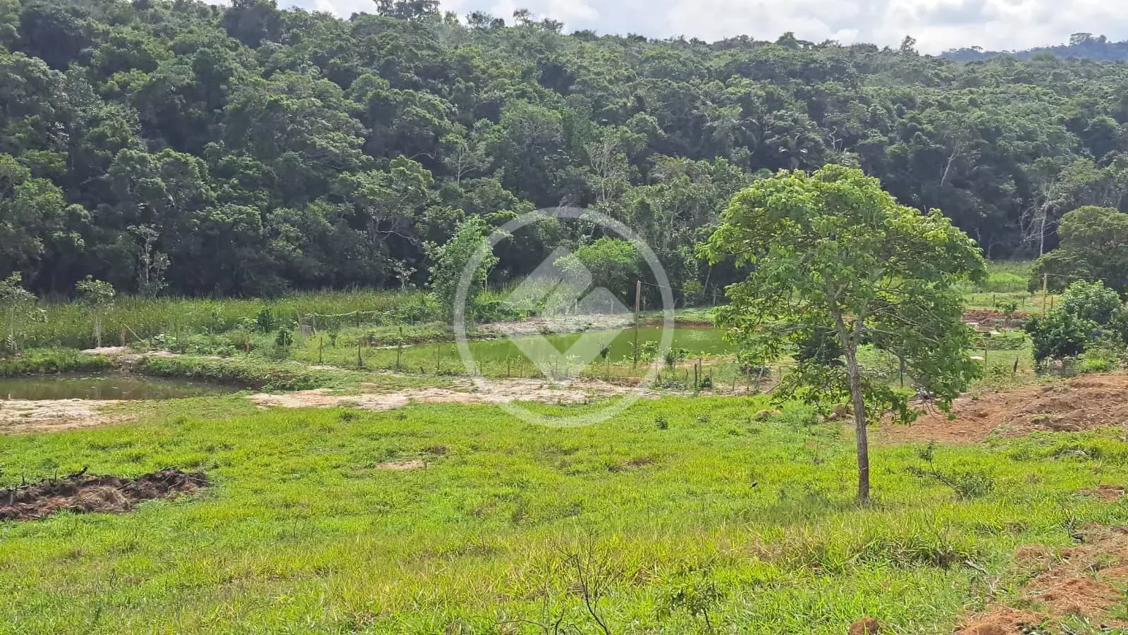 excelentes lotes para chácaras de 1000m² a poucos minutos da Enseada Azul