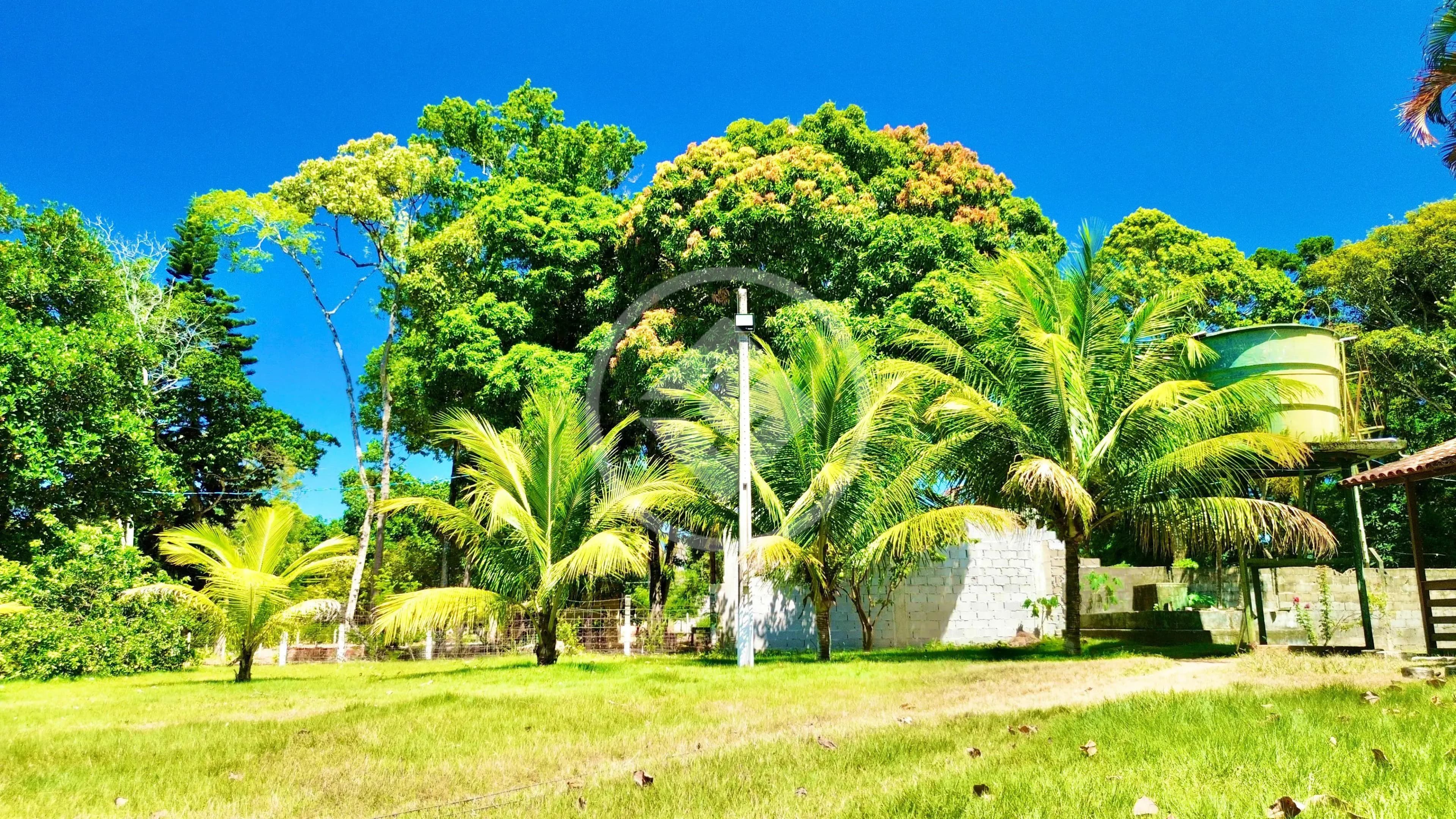 Sítio 5 quartos no Portal, Guarapari — foto 4 de 6