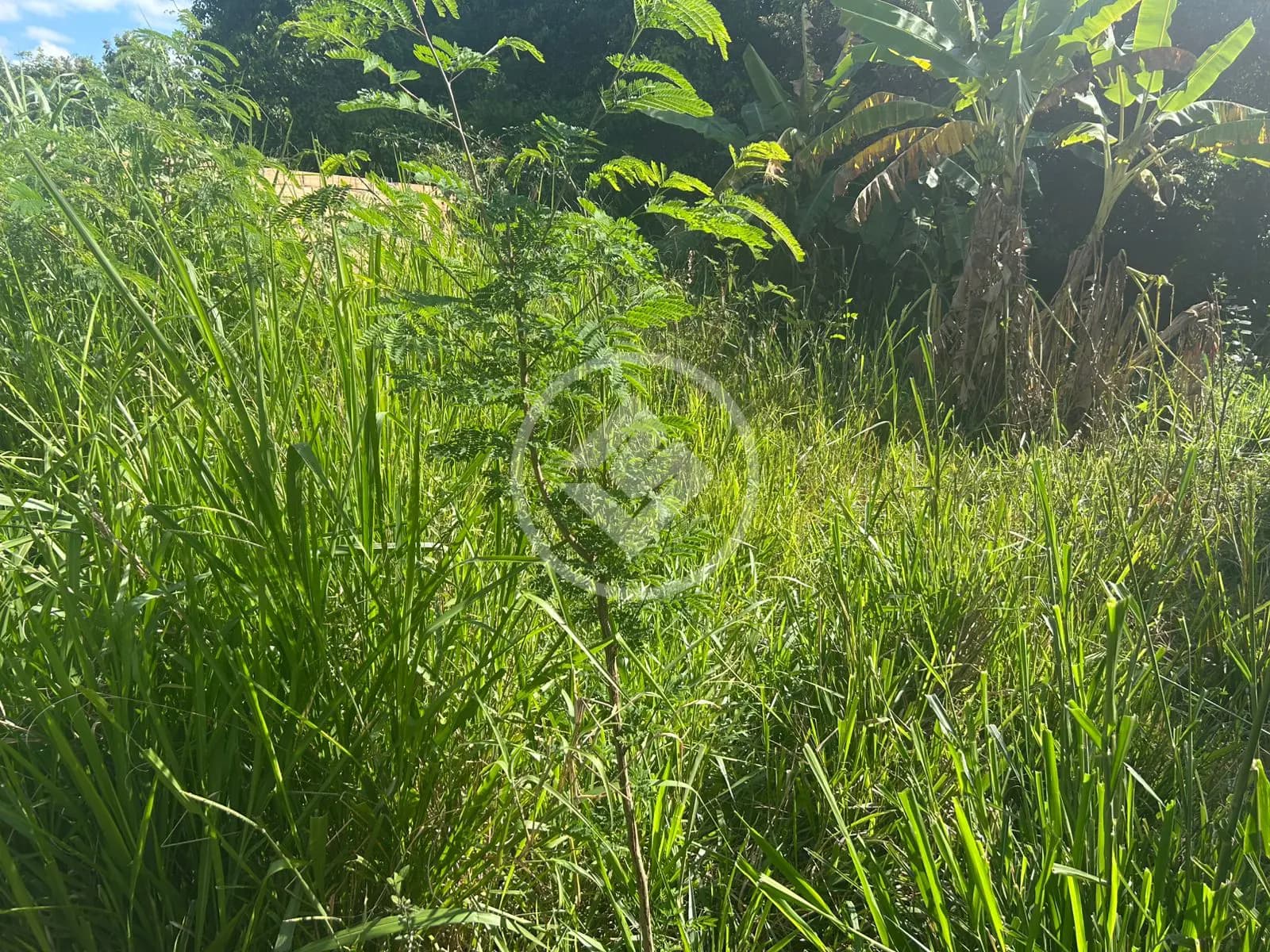 Terreno no Setor Santa Bárbara, Hidrolândia — foto 3 de 6