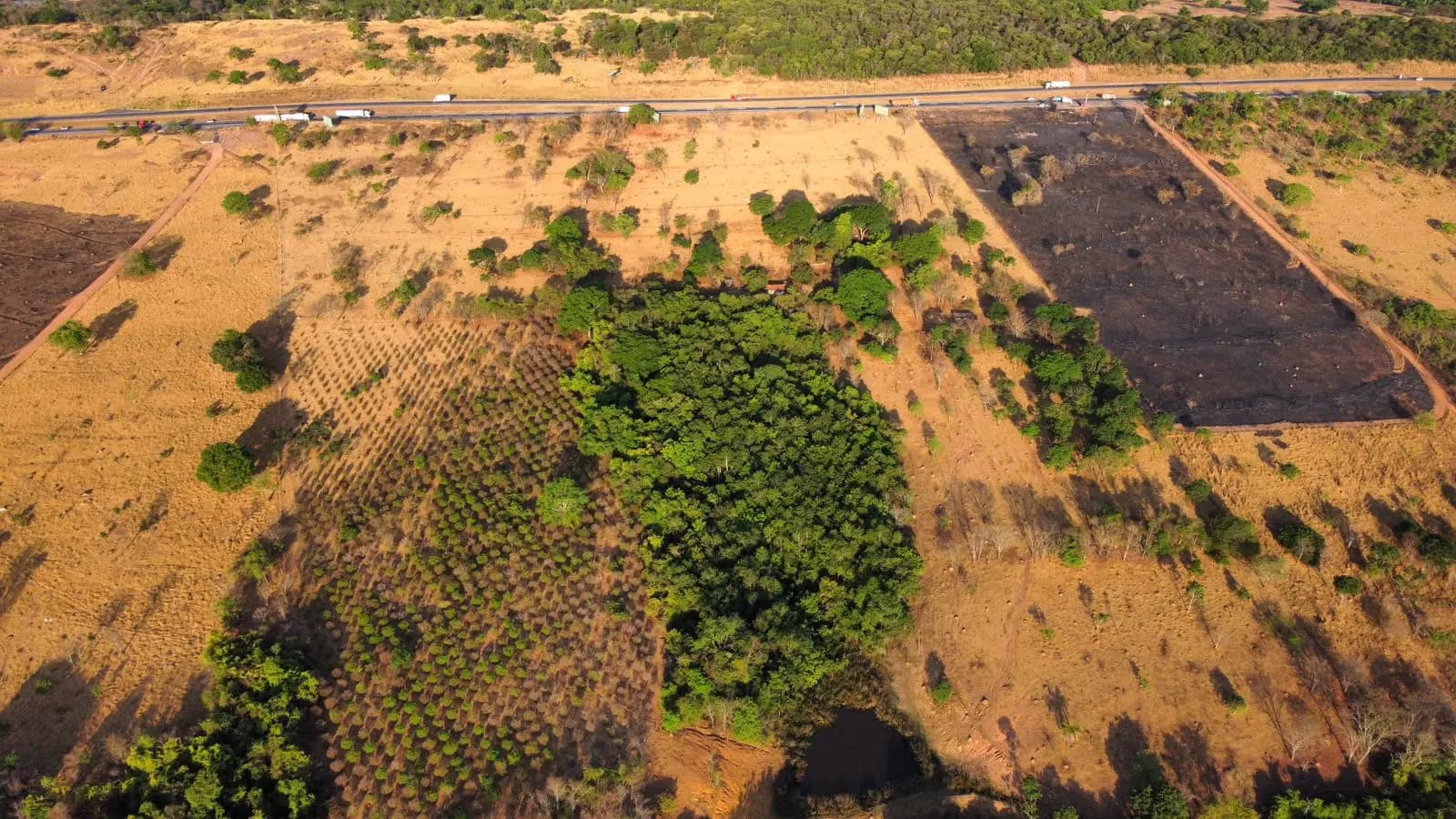 Fazenda no Zona Rural, Hidrolândia — foto 6 de 6