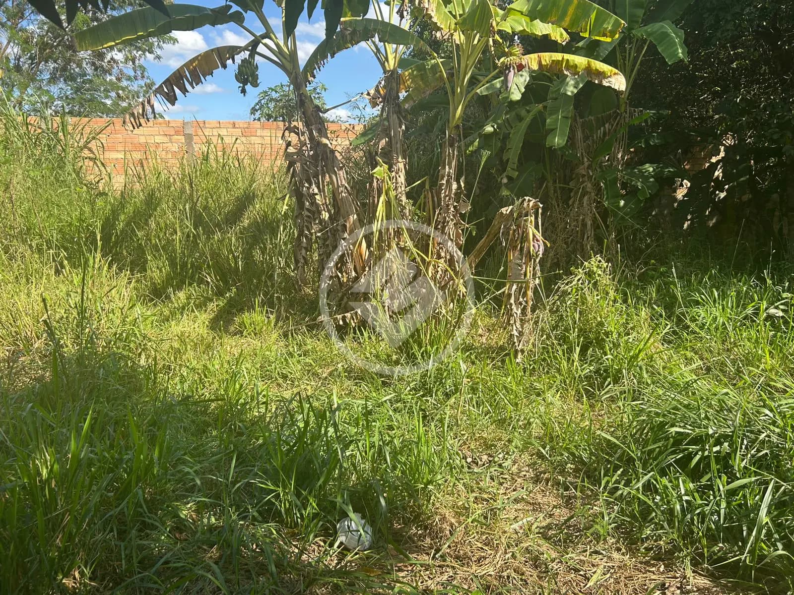 Terreno no Setor Santa Bárbara, Hidrolândia — foto 5 de 6