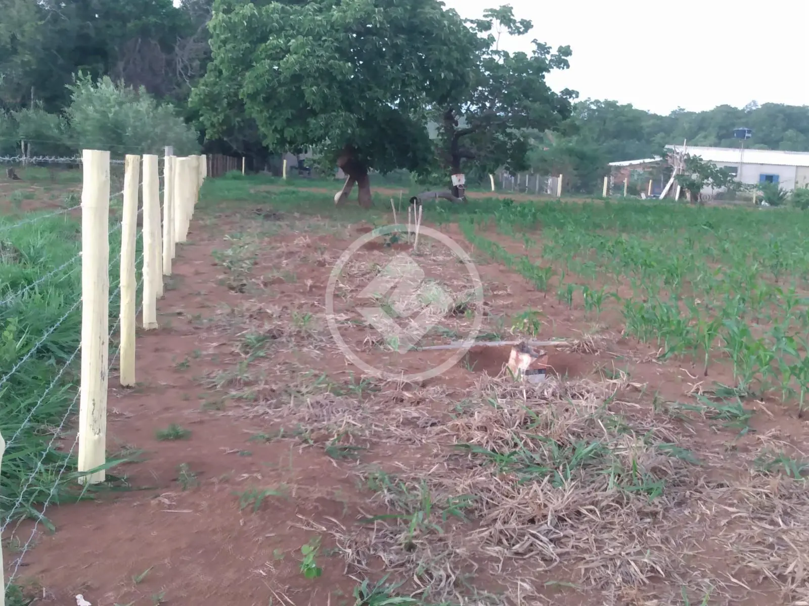 Chácara no Zona Rural, Hidrolândia — foto 3 de 6