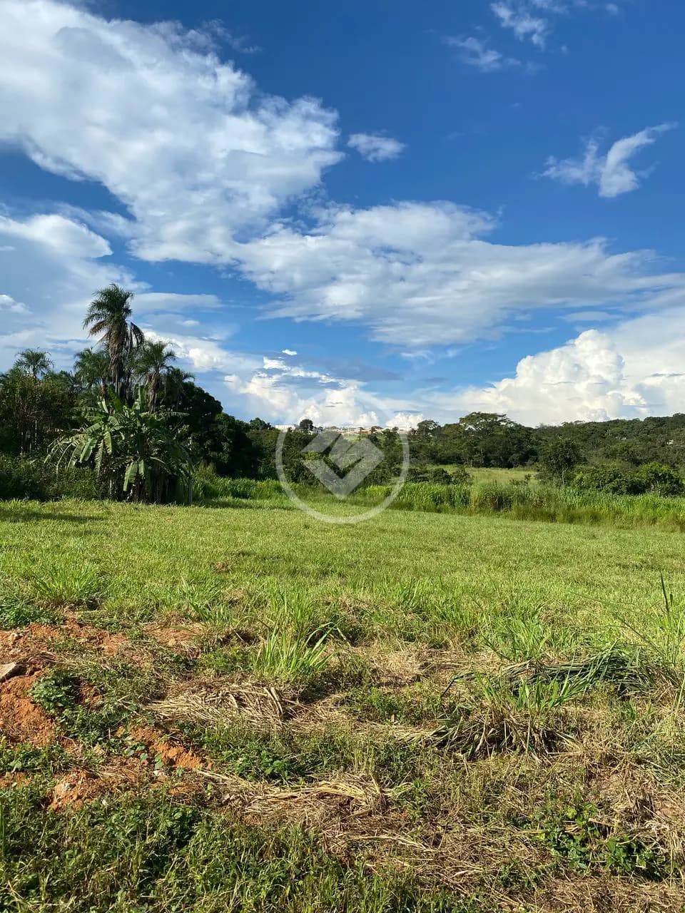 Terreno no Setor Centro, Hidrolândia — foto 6 de 6