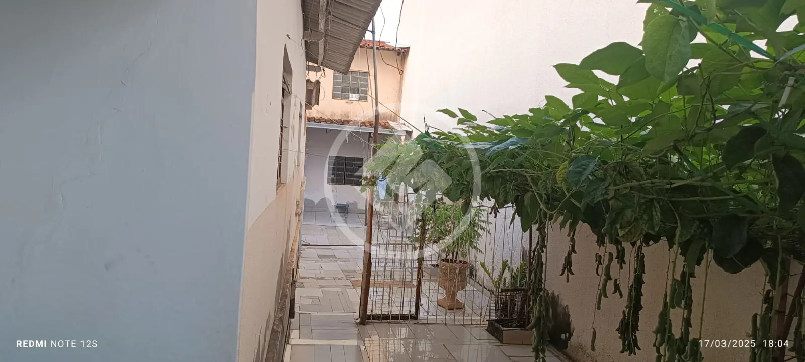 Casa Água Branca, Goiânia - GO — foto 2
