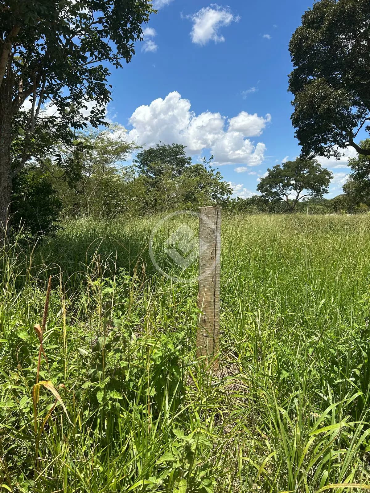 Chácara no Zona Rural, Hidrolândia — foto 5 de 6