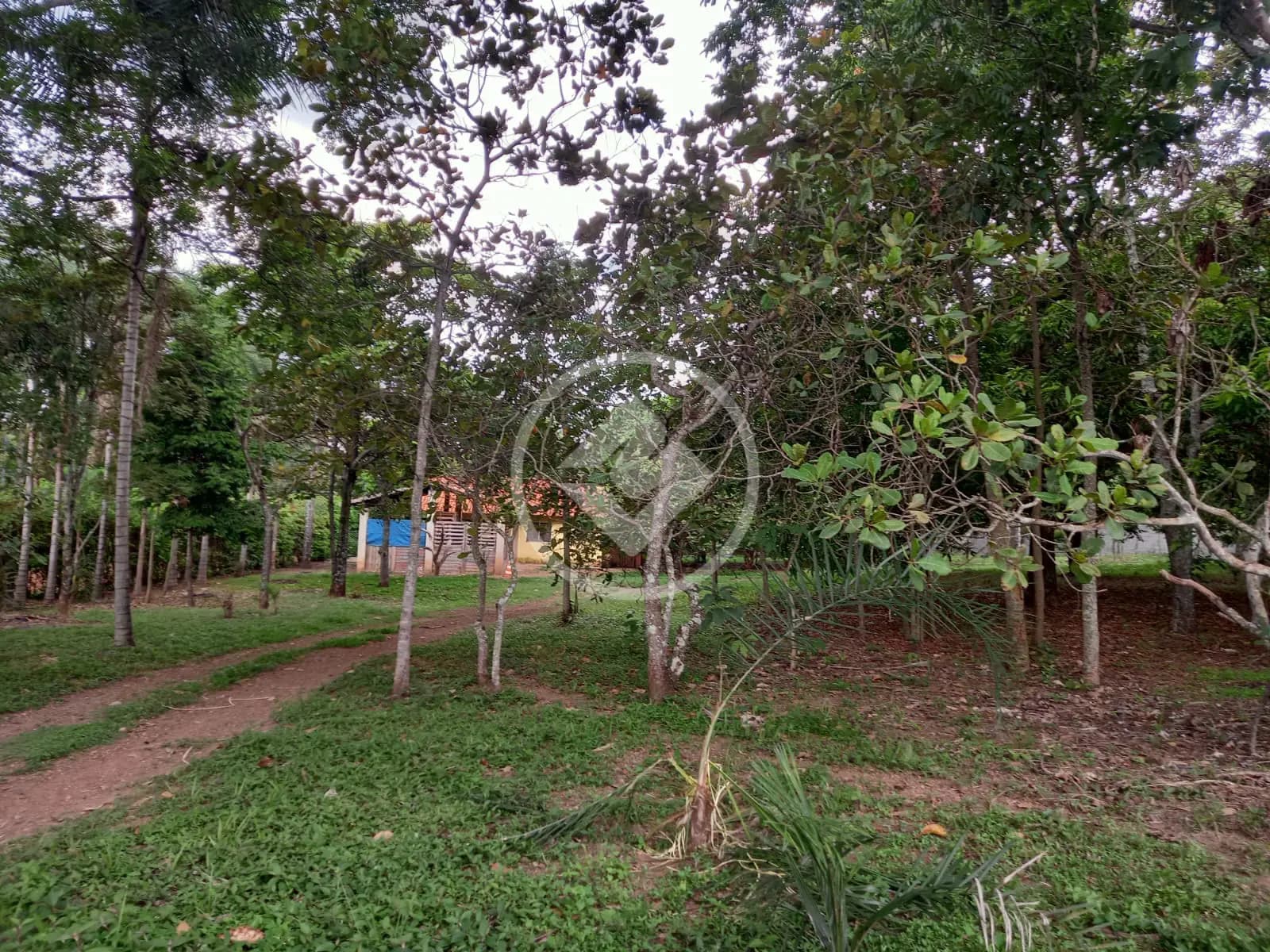 Casa Condomínio 2 quartos no Condomínio MiraFlores, Hidrolândia — foto 4 de 6