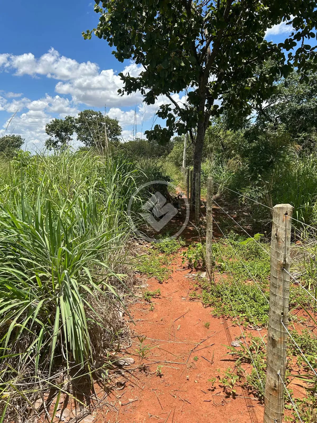 Chácara no Zona Rural, Hidrolândia — foto 4 de 6