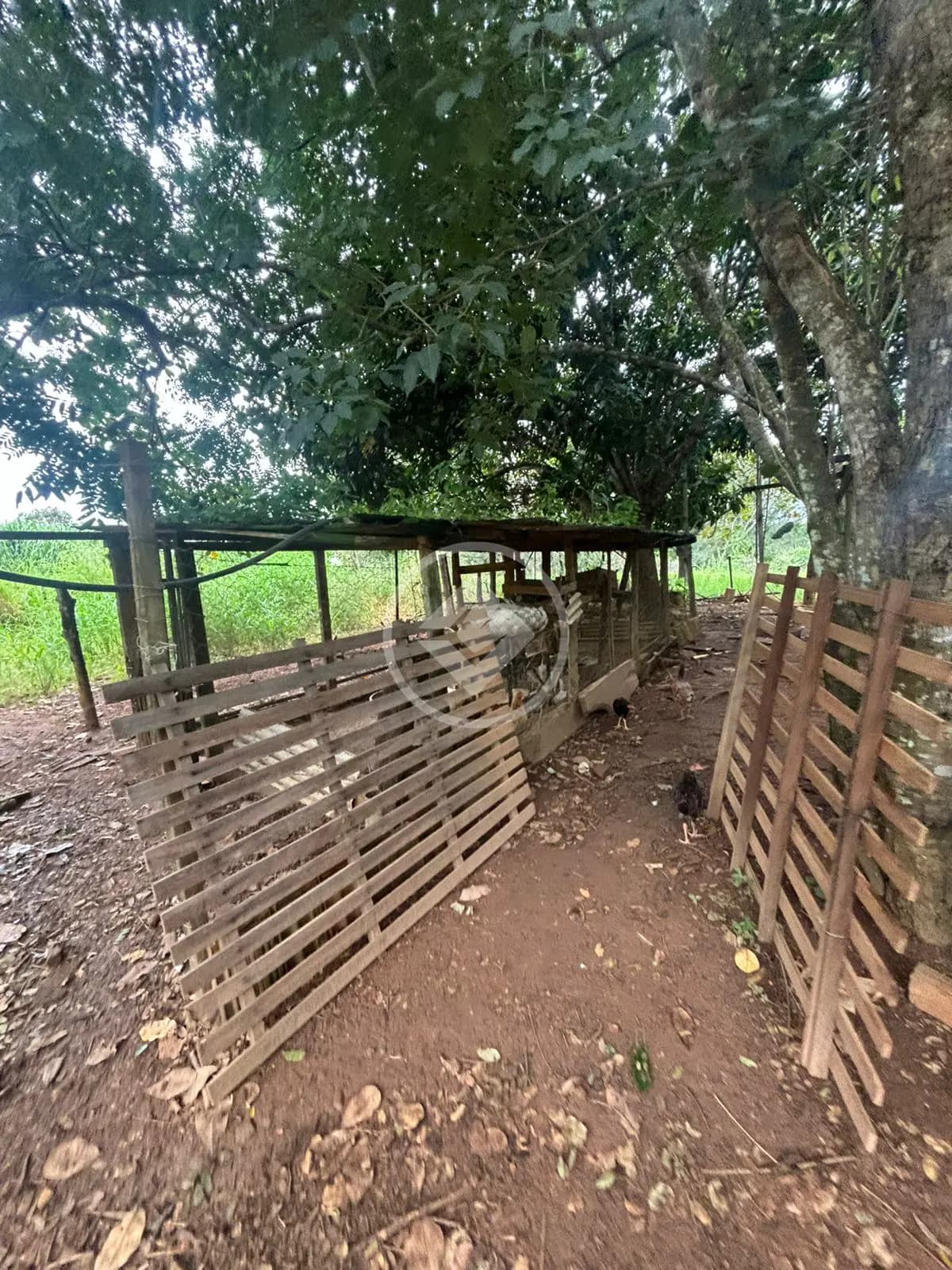 Chácara no Triângulo 03, Hidrolândia — foto 4 de 6