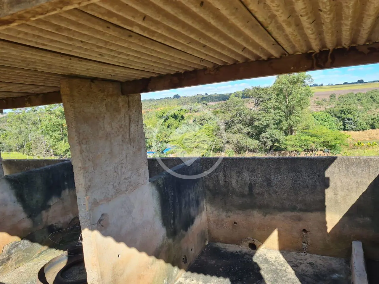 Chácara no Zona Rural, Professor Jamil — foto 6 de 6