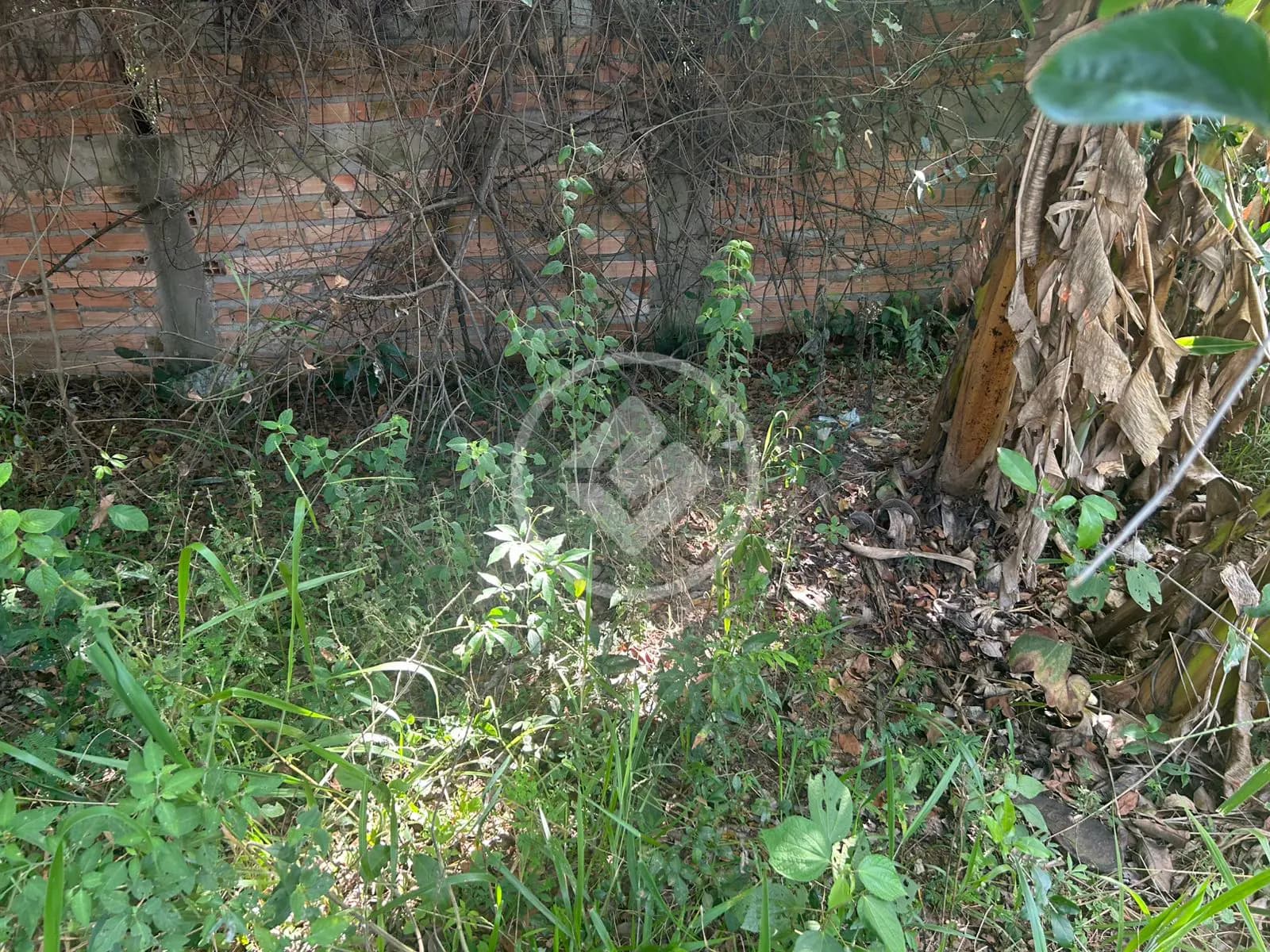 Terreno no Setor Santa Bárbara, Hidrolândia — foto 4 de 6