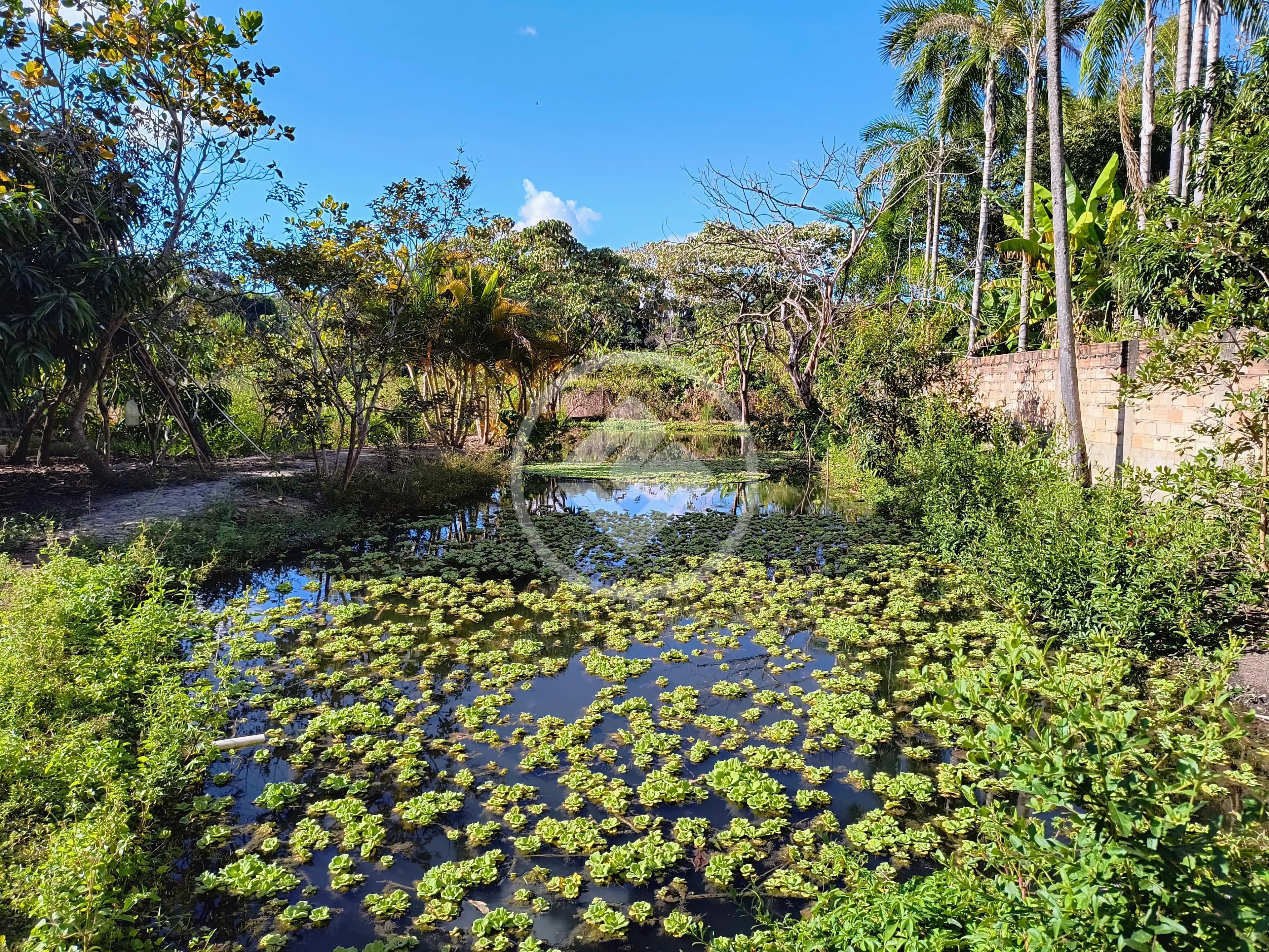 Chácara no Vila Grimpas, Hidrolândia — foto 6 de 6