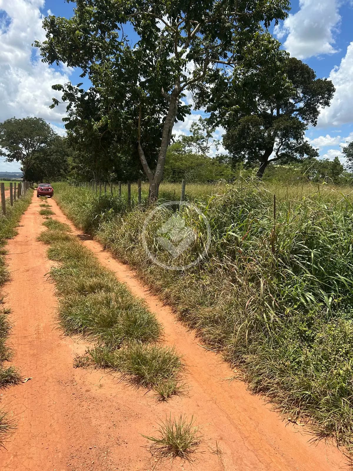 Chácara no Zona Rural, Hidrolândia — foto 3 de 6