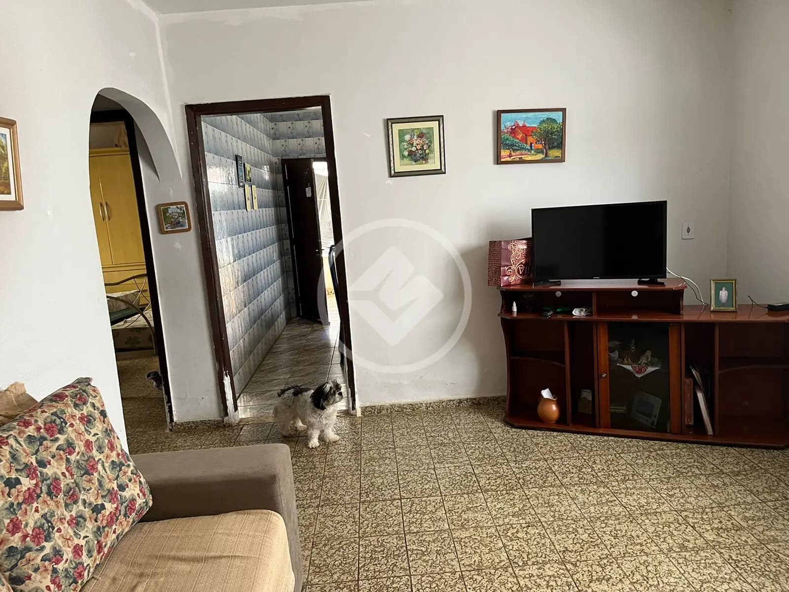 Casa 3 quartos no Água Branca, Goiânia — foto 5 de 6