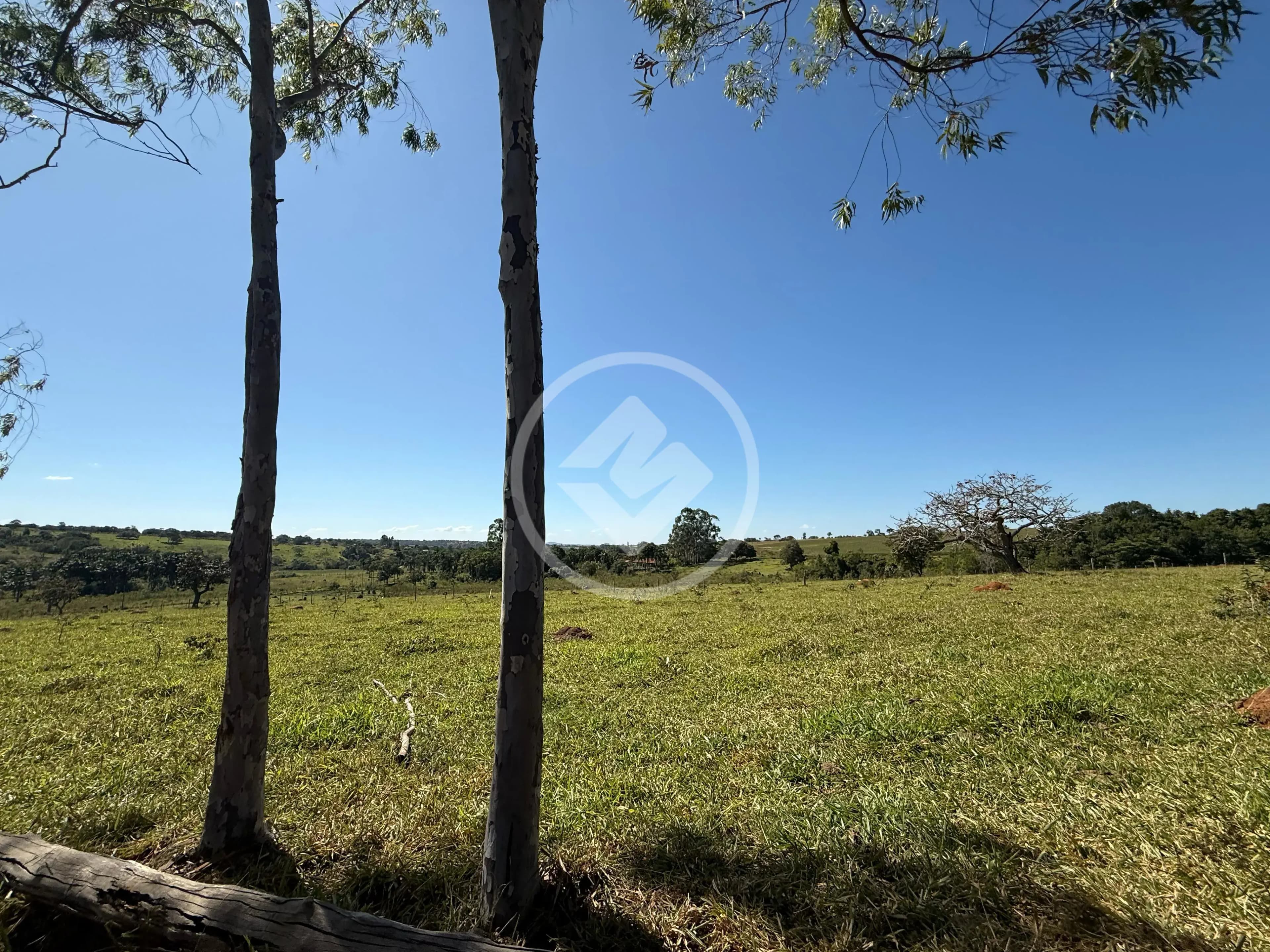 Hidrolândia - Fazenda na Região de Oloana