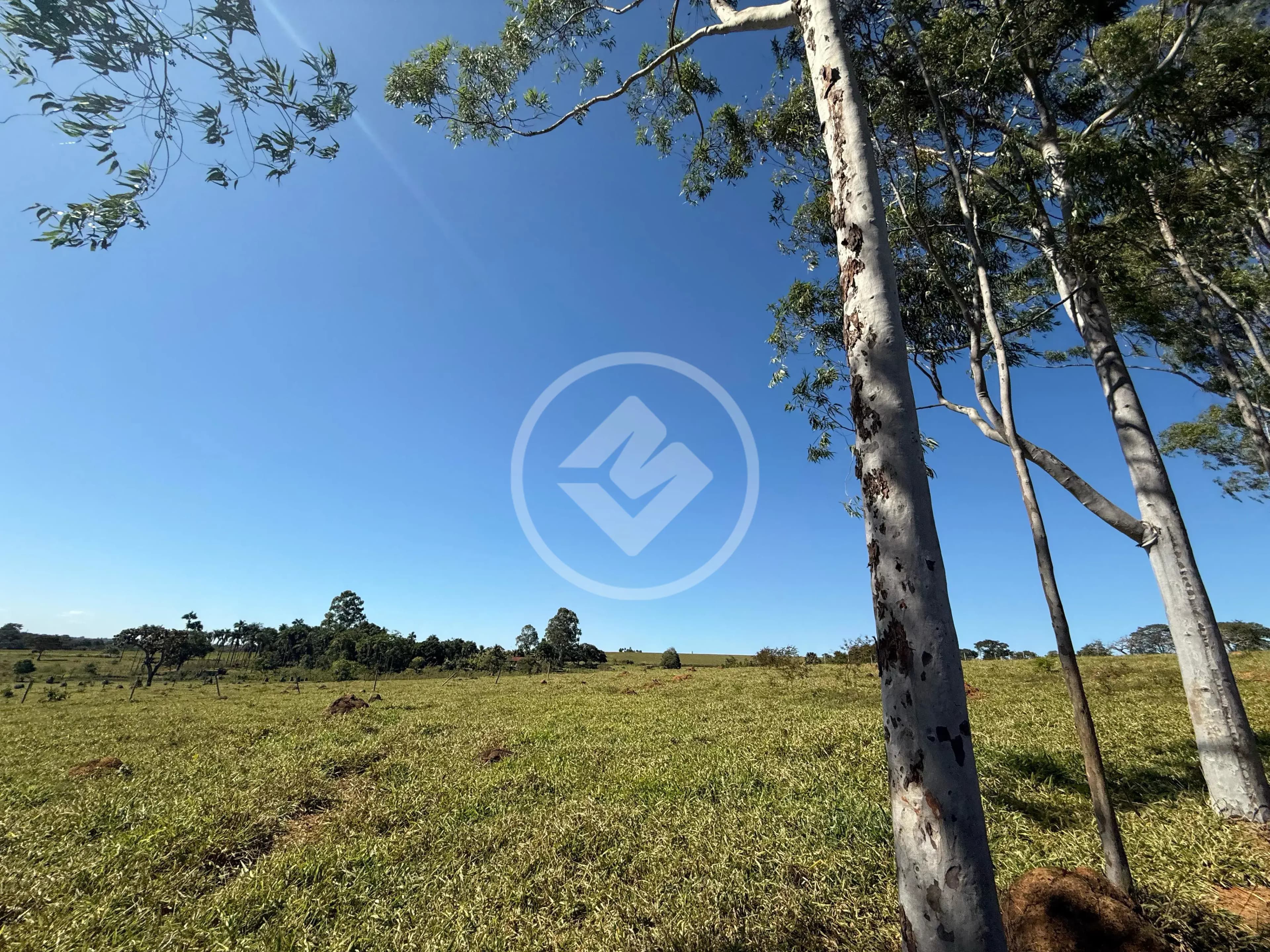 Fazenda Zona Rural Hidrolandia, Hidrolândia - GO — foto 2