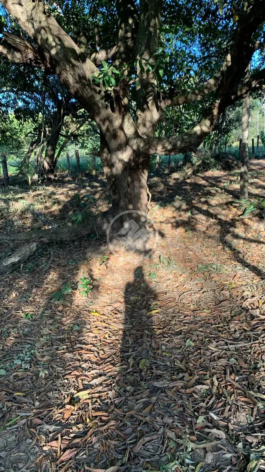 Chácara no Zona Rural Hidrolandia, Hidrolândia — foto 5 de 6
