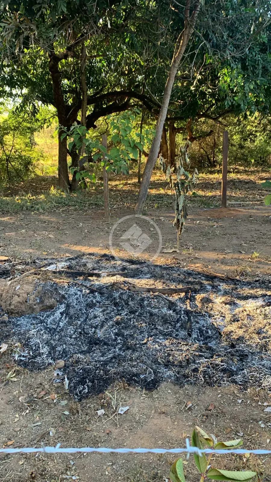 Chácara no Zona Rural Hidrolandia, Hidrolândia — foto 6 de 6