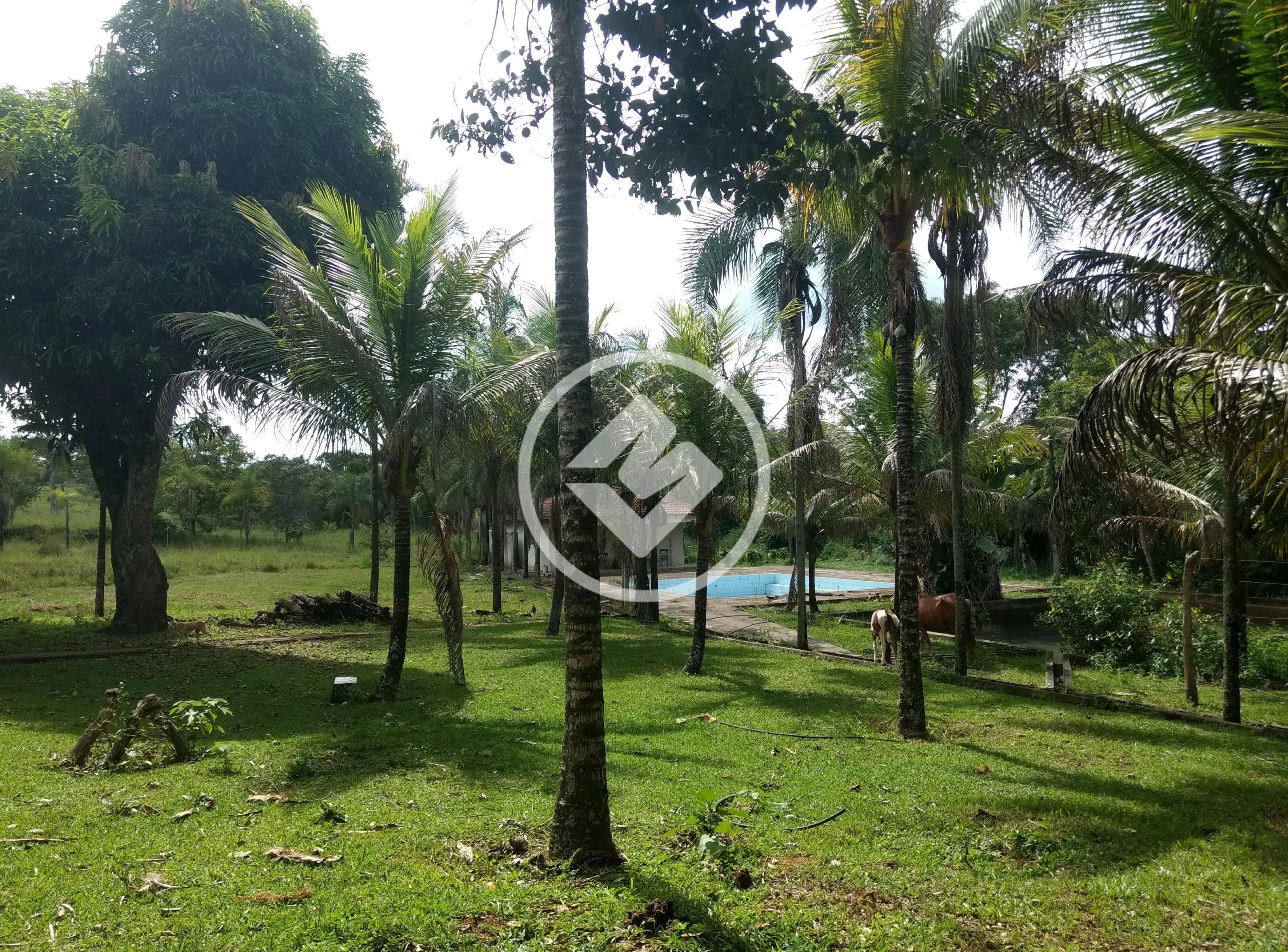 Fazenda Zona Rural Hidrolandia, Hidrolândia - GO — foto 2