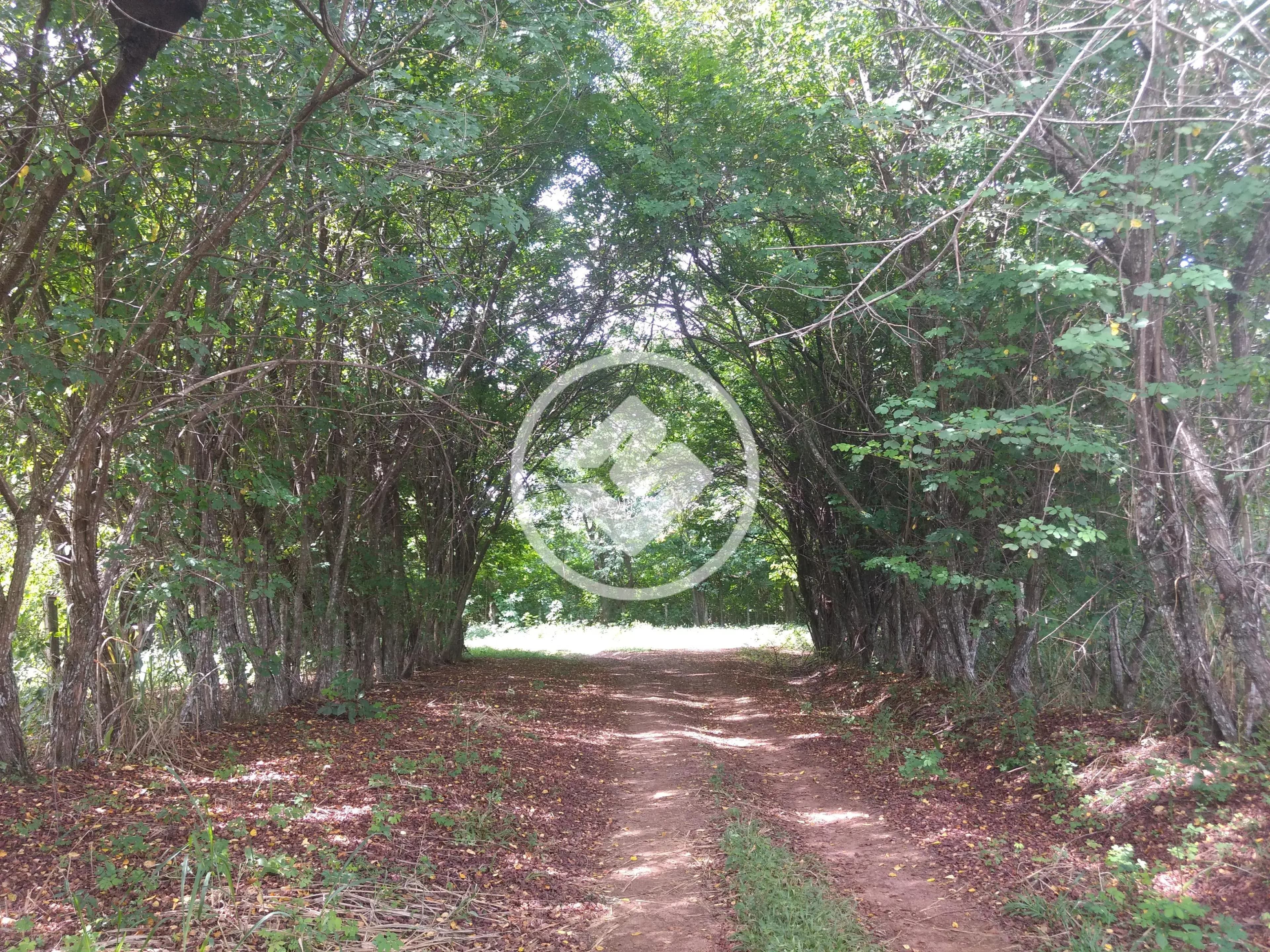 Fazenda no Zona Rural Hidrolandia, Hidrolândia — foto 6 de 6