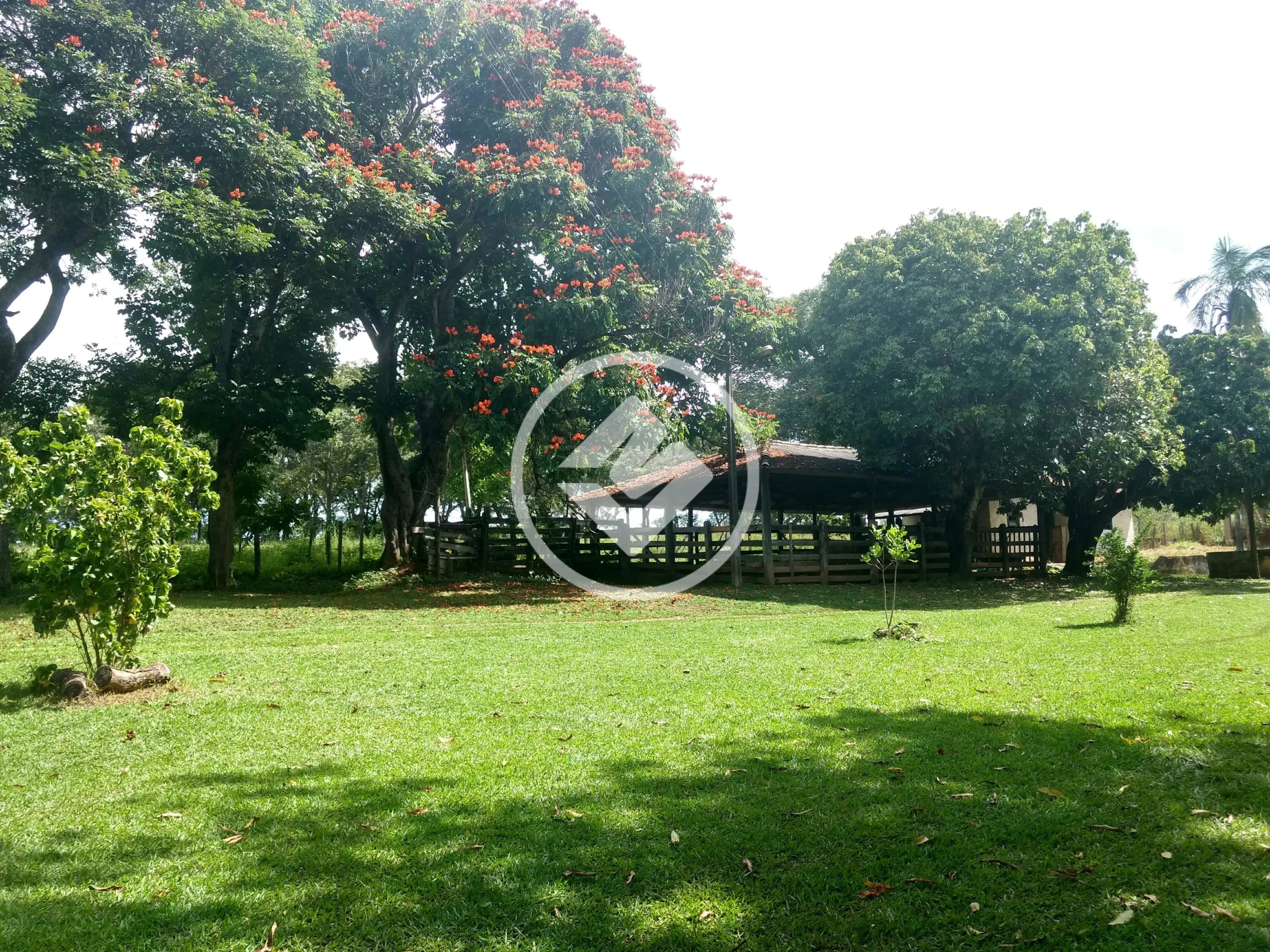 Fazenda Zona Rural Hidrolandia, Hidrolândia - GO — foto 1
