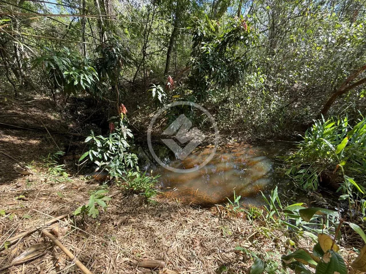 Chácara no Zona Rural, Hidrolândia — foto 5 de 6