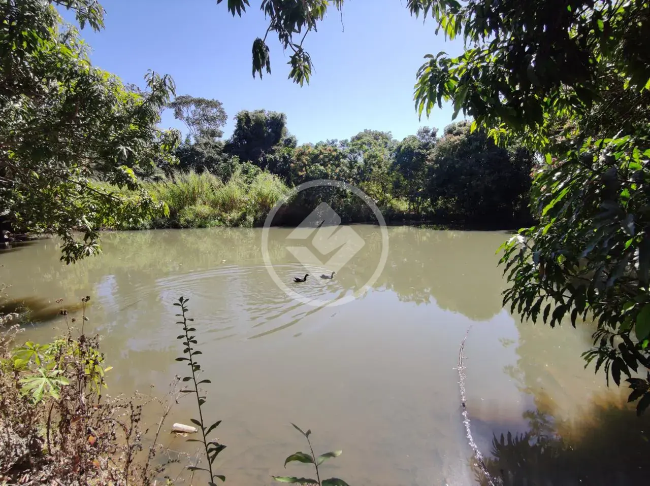 Chácara Vila Grimpas, Hidrolândia - GO — foto 2