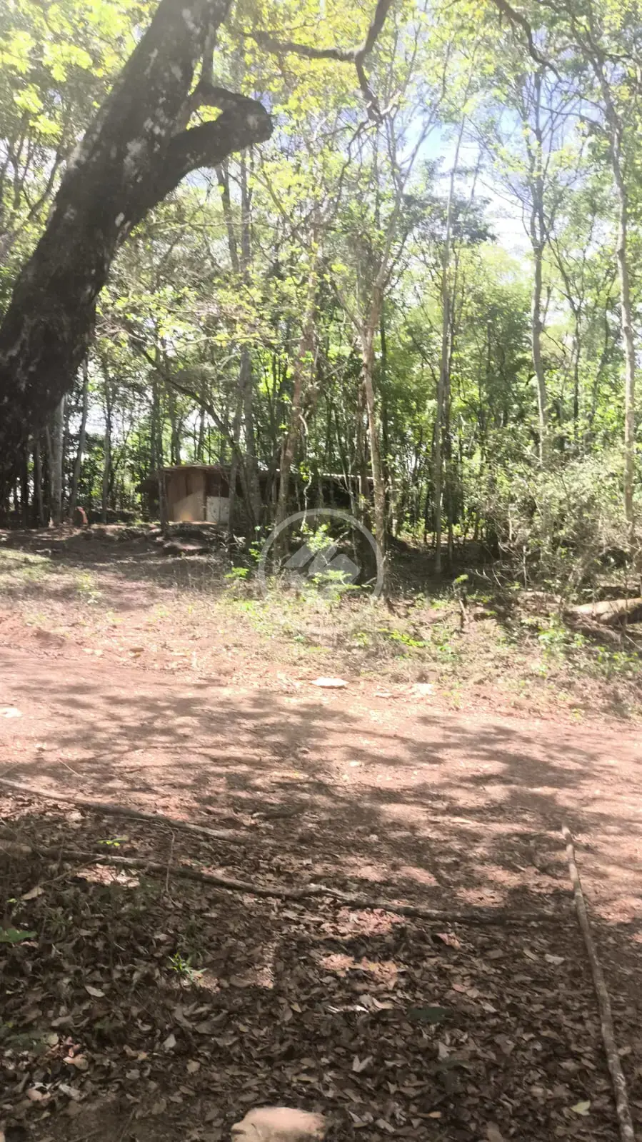 Chácara no Zona Rural Hidrolandia, Hidrolândia — foto 6 de 6