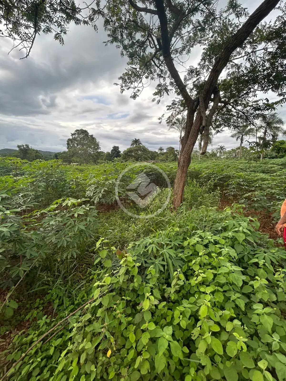 Chácara Savana, Hidrolândia - GO — foto 1