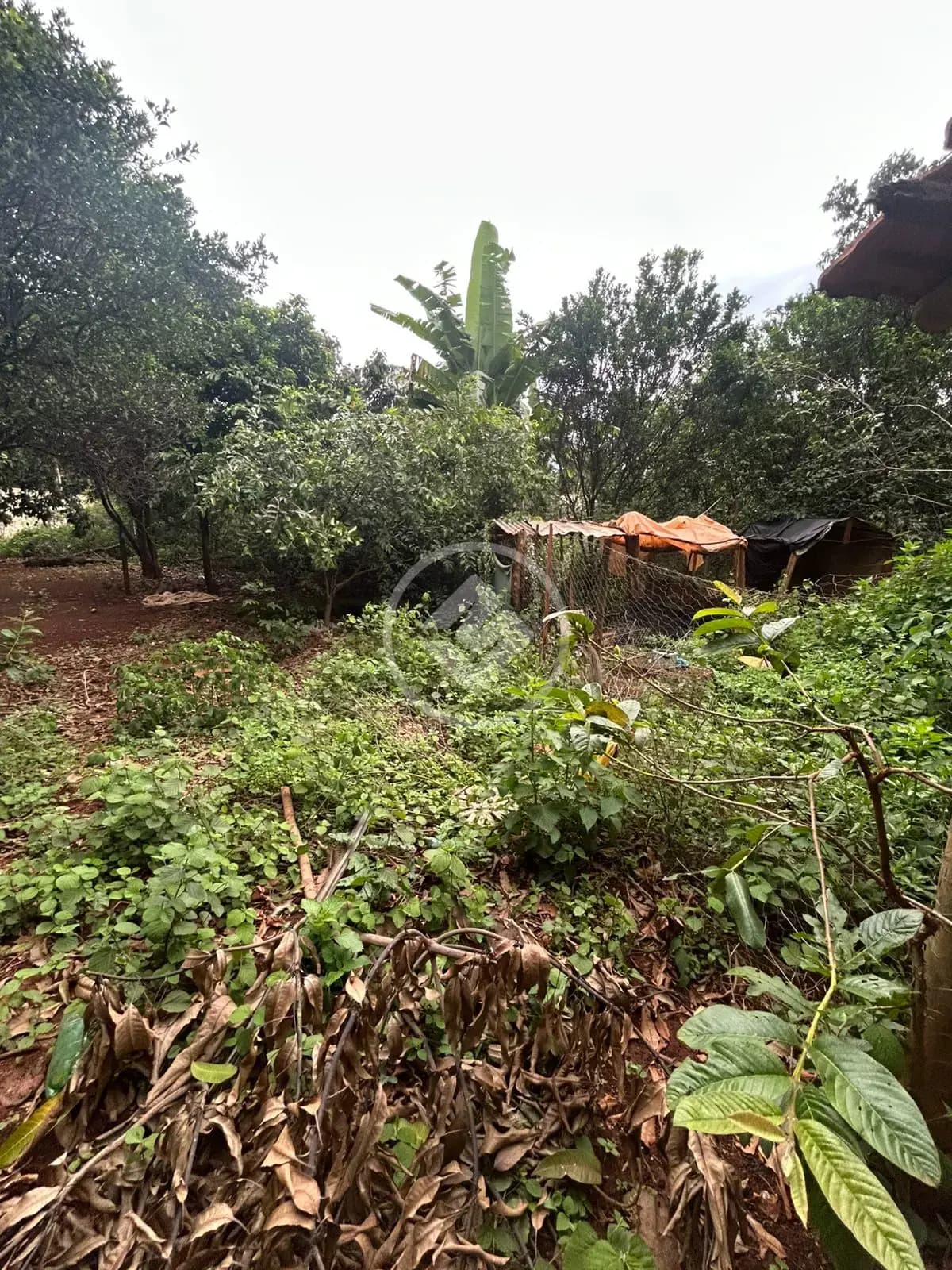 Chácara no Savana, Hidrolândia — foto 6 de 6