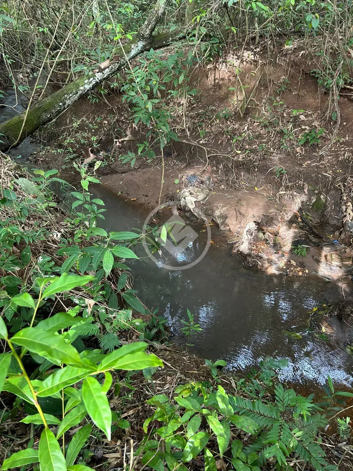 Chácara no Triângulo 03, Hidrolândia — foto 5 de 6