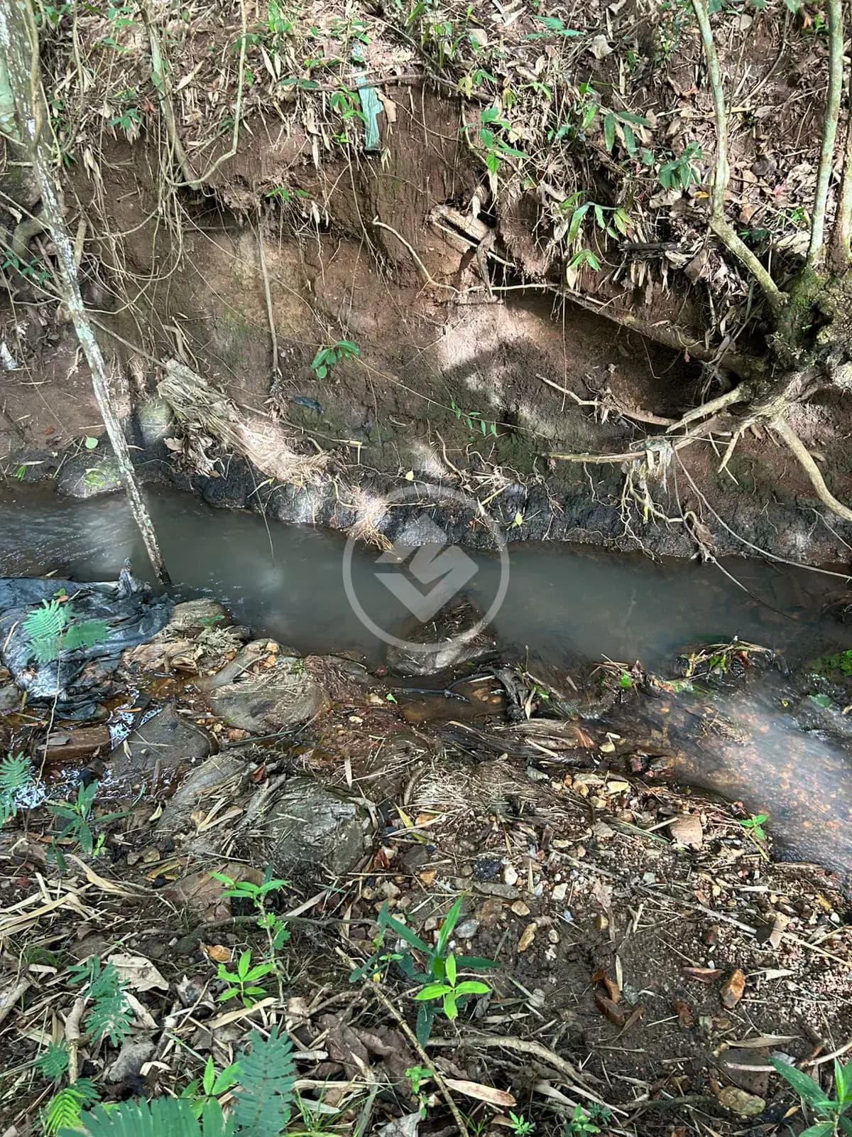 Chácara no Triângulo 03, Hidrolândia — foto 3 de 6