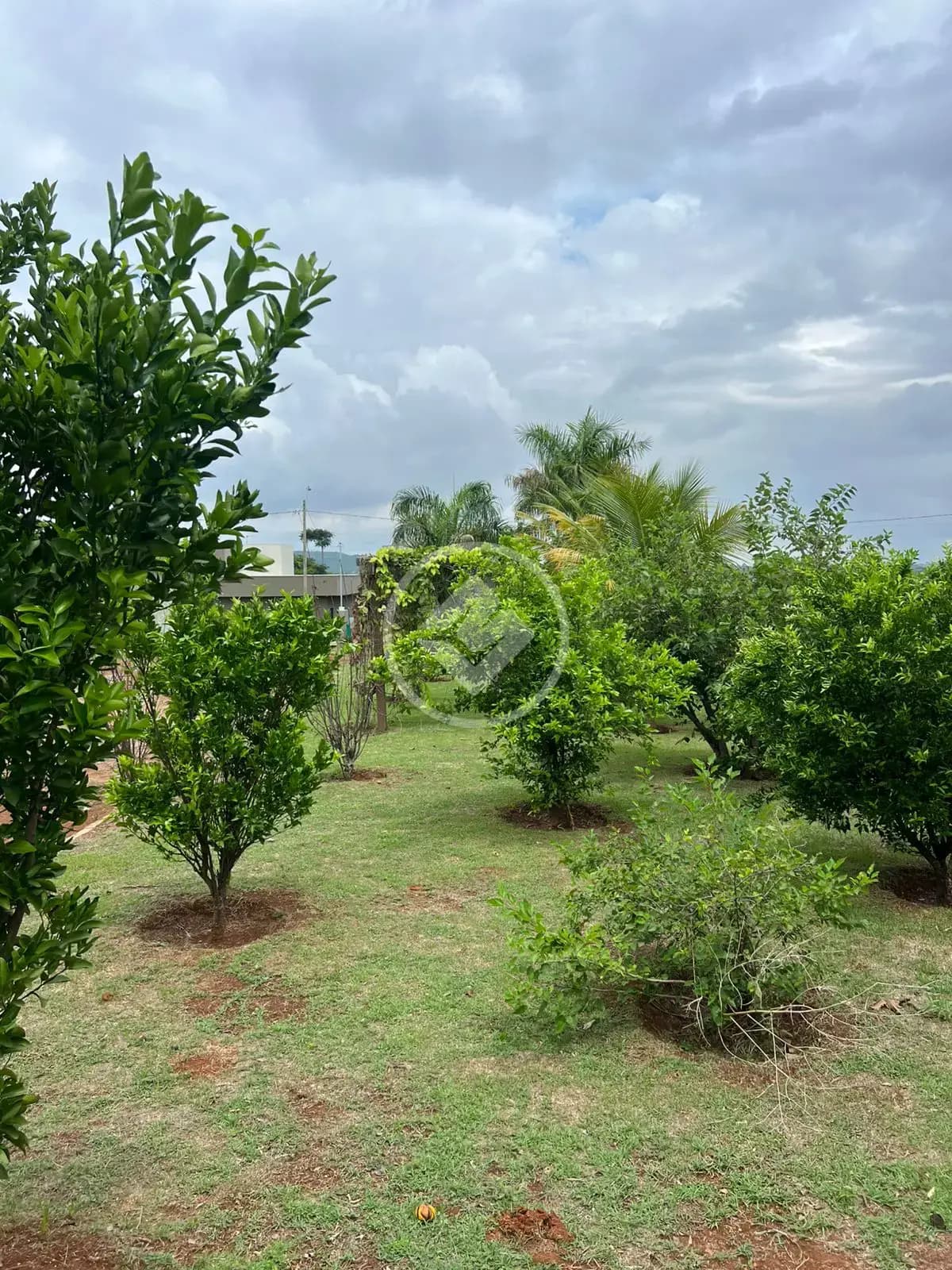 Terreno no Condomínio Aldeia Dos Sonhos, Hidrolândia — foto 3 de 6