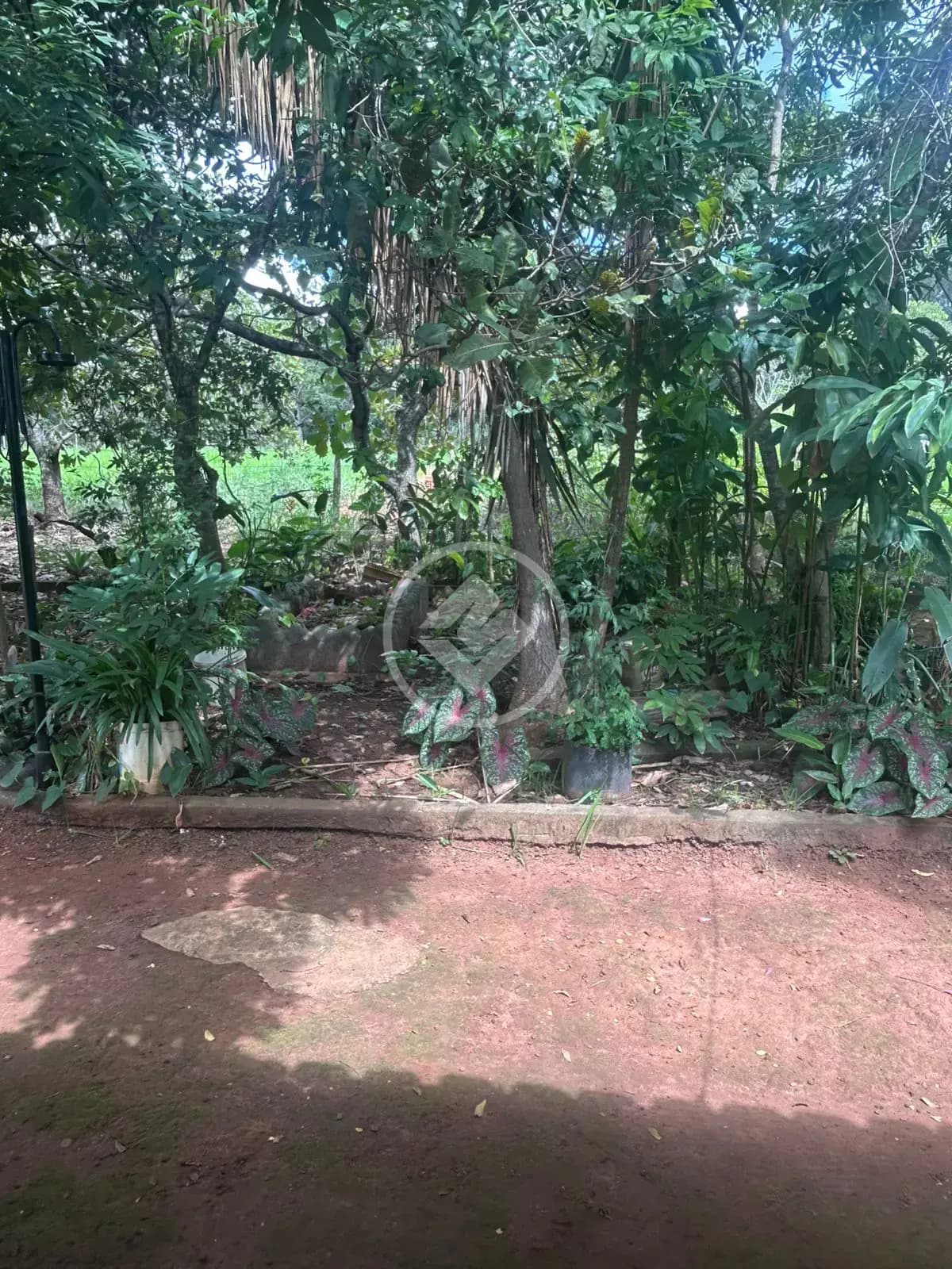 Chácara no Zona Rural, Hidrolândia — foto 3 de 6