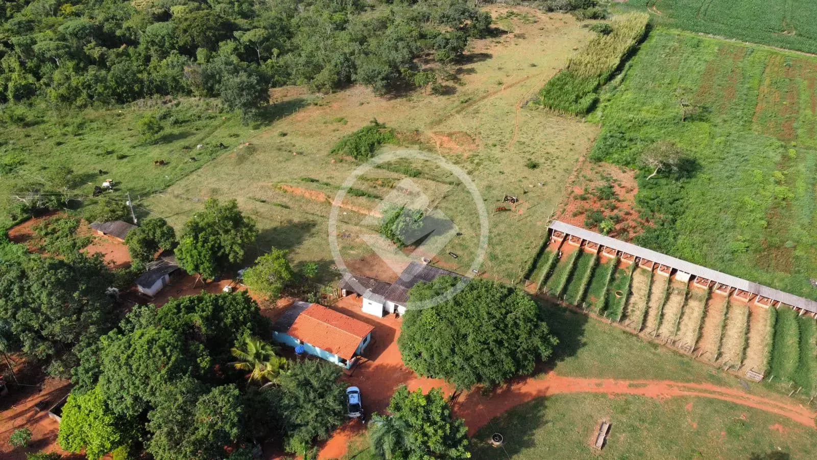 Chácara Zona Rural, Bela Vista de Goiás - GO — foto 1