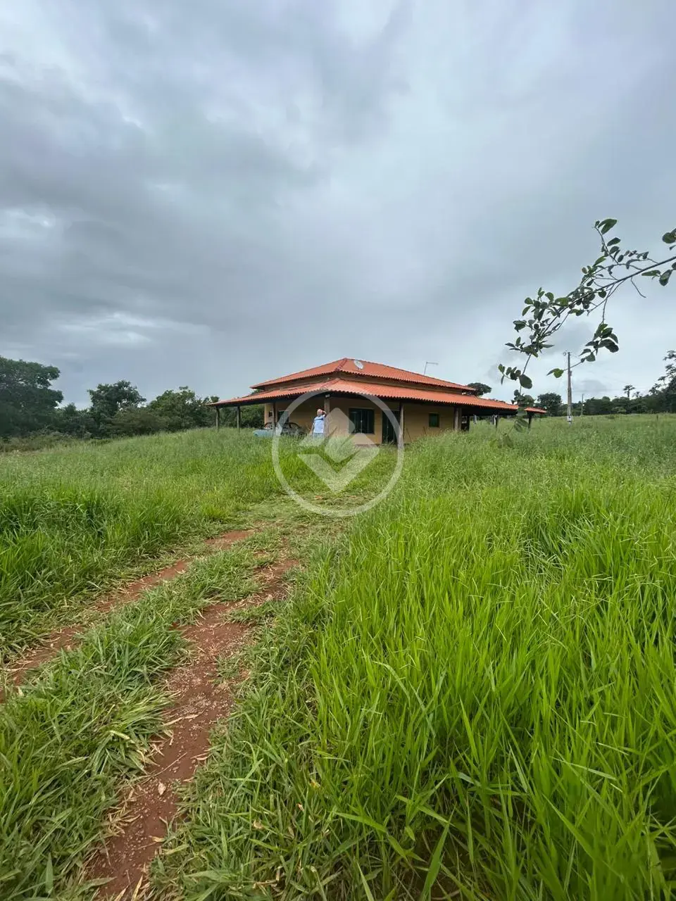 Chácara no Zona Rural, Hidrolândia — foto 3 de 6
