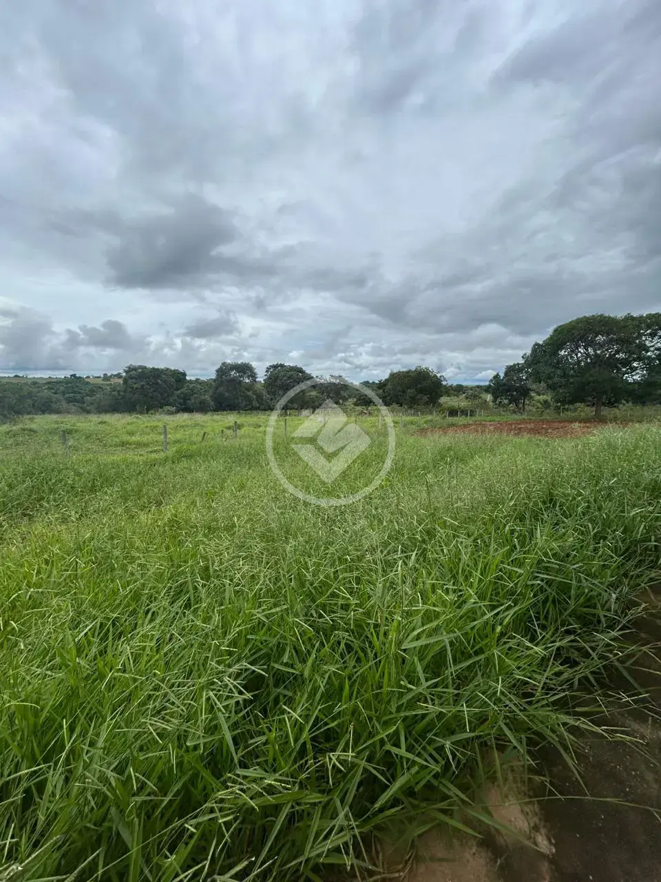Chácara no Zona Rural, Hidrolândia — foto 4 de 6