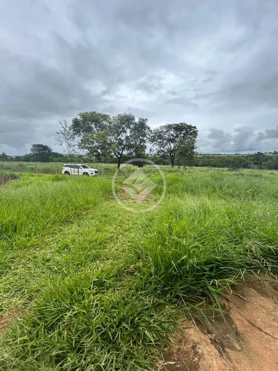 Chácara no Zona Rural, Hidrolândia — foto 5 de 6