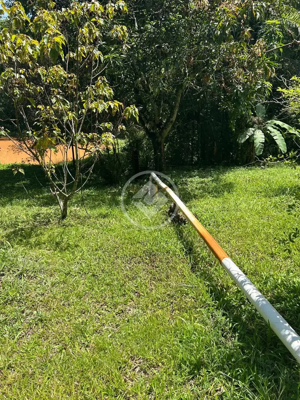 Chácara Zona Rural, Bela Vista de Goiás - GO — foto 2