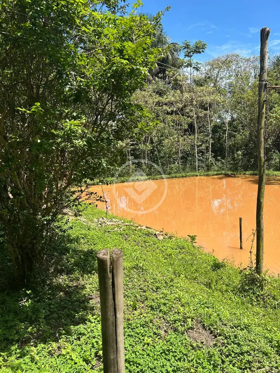 Chácara no Zona Rural, Bela Vista de Goiás — foto 5 de 6