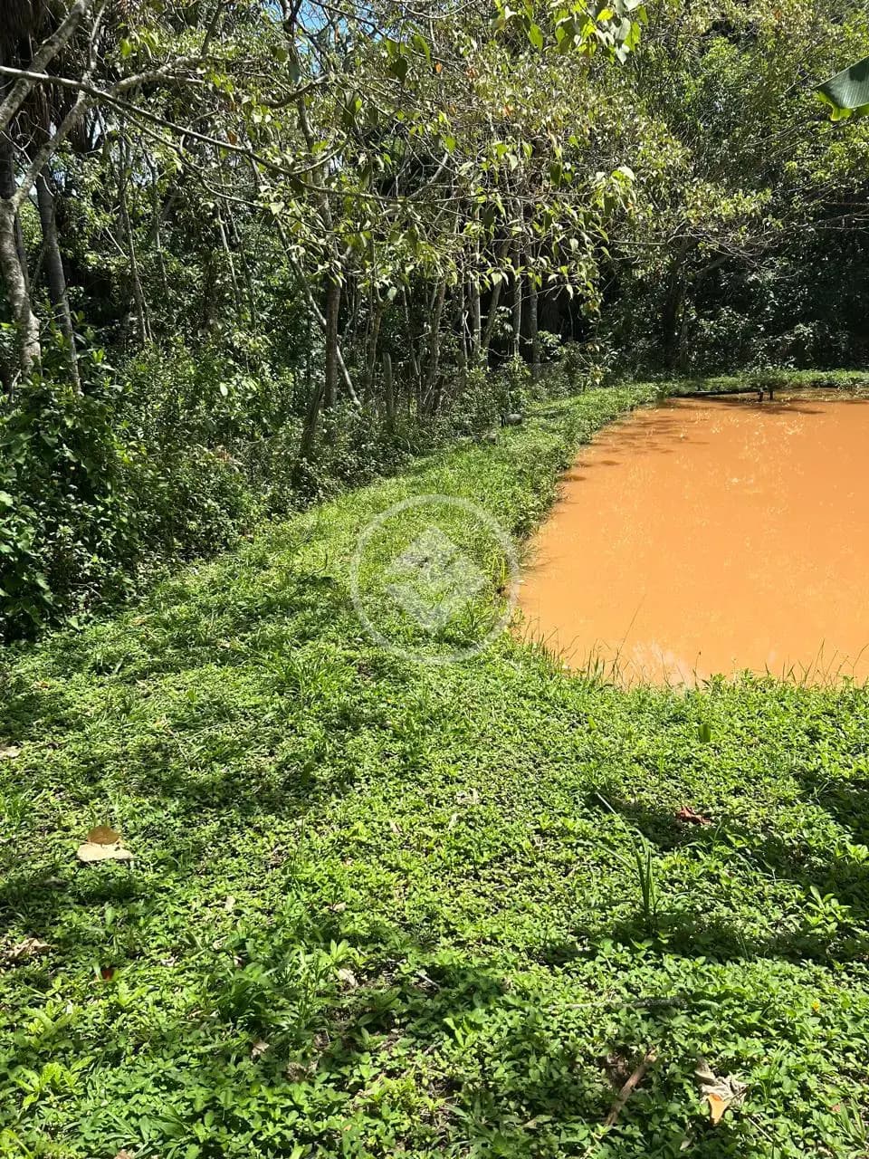 Chácara no Zona Rural, Bela Vista de Goiás — foto 6 de 6