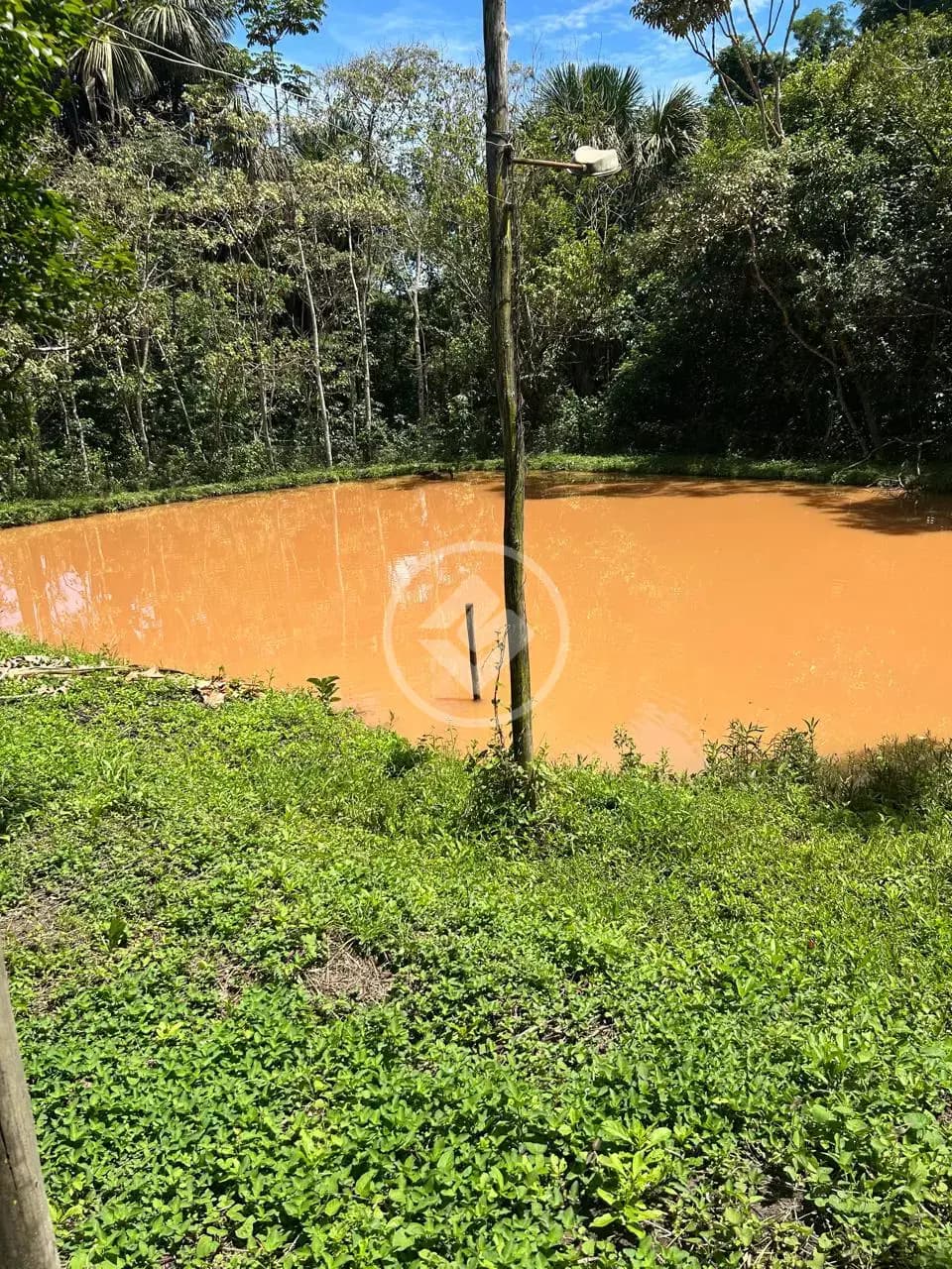 Chácara no Zona Rural, Bela Vista de Goiás — foto 3 de 6