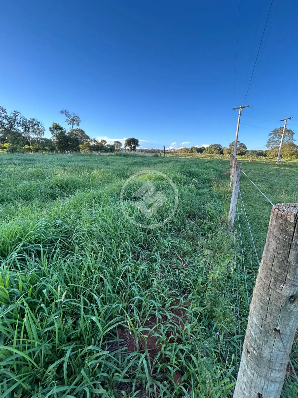 Chácara no Zona Rural, Hidrolândia — foto 3 de 3